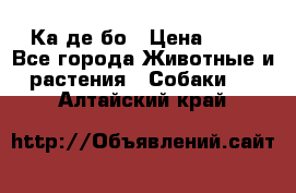 Ка де бо › Цена ­ 25 - Все города Животные и растения » Собаки   . Алтайский край